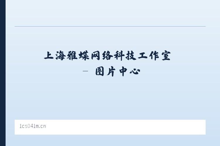 上海雅蝶网络科技工作室 列表图